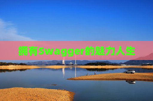 拥有Swagger的魅力人生